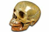 Realistic Columnar Stromatolite Skull #382155-2